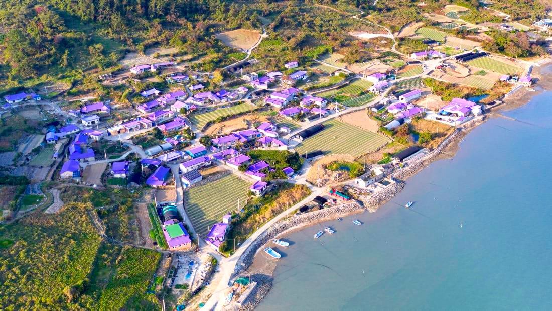Noted! Everything You Need to Know about Korea’s Stunning Purple Islands.